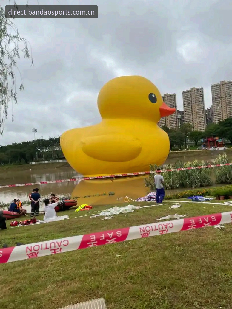 半岛体育手机版新手入门教程：从下载到畅享赛事的一站式指南
